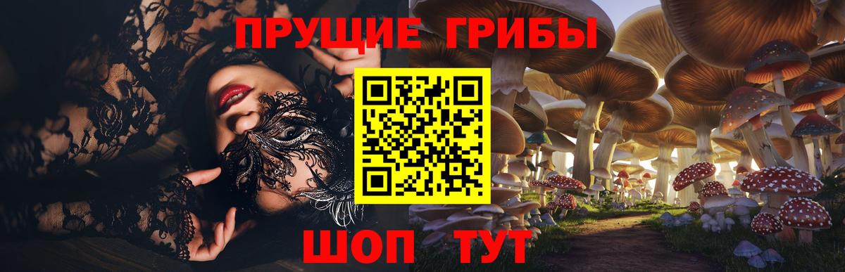 Бахчисарай  Галлюциногенные грибы мухоморы  продажа наркотиков  Вход с VPN 